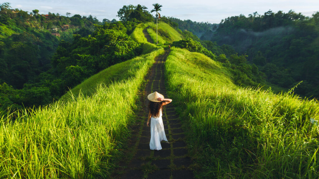 Tour around island of Bali as you please.