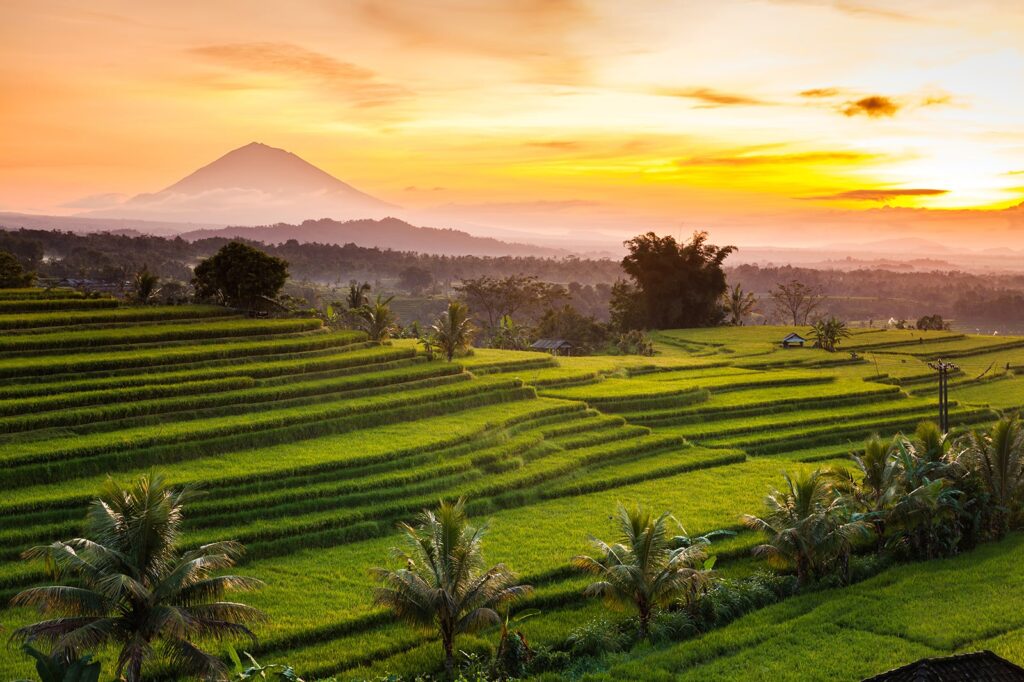 Jatiluwih Village UNESCO Heritage